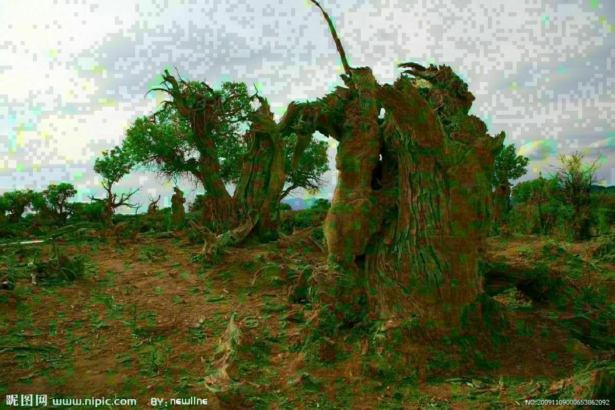 clanatua004.jpg