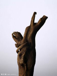 clanatua039.jpg