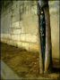clanatua008.jpg